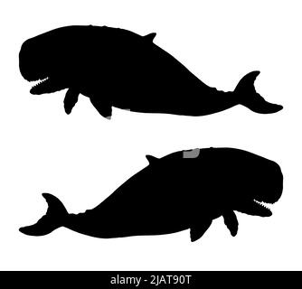 Prehistoric whale Livyatan. Silhouette illustration with extinct animals. Stock Photo
