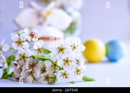 On grey wooden table cake, Easter cake in a basket or in a wooden, grey box, spring flowers, sweet table for the holiday, Easter Holiday, Easter decor Stock Photo