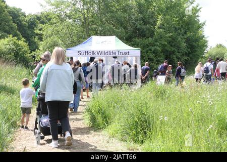 Ipswich, UK. 01st Jun 2022. After being cancelled in 2020 and 2021 due to Covid restrictions the Suffolk Show returns to Ipswich. The wildlife area is proving to be very popular with families enjoying the sunshine. Credit: Eastern Views/Alamy Live News Stock Photo