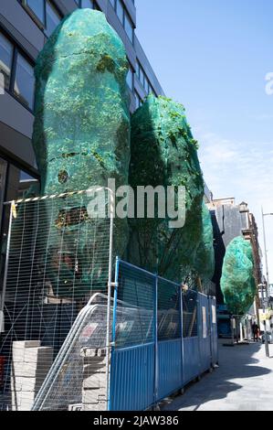 Liverpool, England, Uk. New tree planting, wrapped in green plastic. Stock Photo