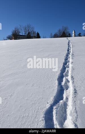 Snowshoe tracks in the snow, Sainte-Apolline, Québec, Canada Stock Photo