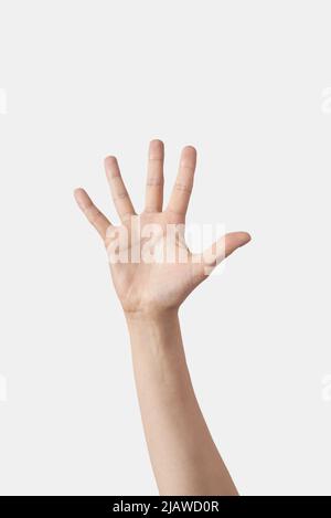 Inner palm count on fingers, female hand in vertical position with 5 ...