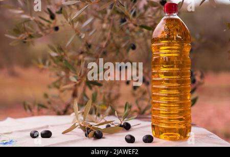 olive oil in plastic bottle and black olives on background of olive branches in garden Stock Photo