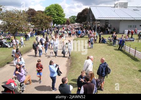 Ipswich, UK. 01st Jun 2022. After being cancelled in 2020 and 2021 due to Covid restrictions the Suffolk Show returns to Ipswich. Crowds in the Main Avenue as the sun shines. Credit: Eastern Views/Alamy Live News Stock Photo