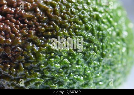 Ripe Avocado fruit peel, macro photo, close-up, backdrop. Stock Photo