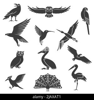 Stylized wild and exotic birds silhouettes black icons collection with pelican soaring eagle and peacock isolated vector illustration Stock Vector