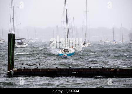 Stock photos of Tropical Storm Henri from 2021 hitting Newport, Rhode Island. View of sail boats and docks during a storm. Stock Photo