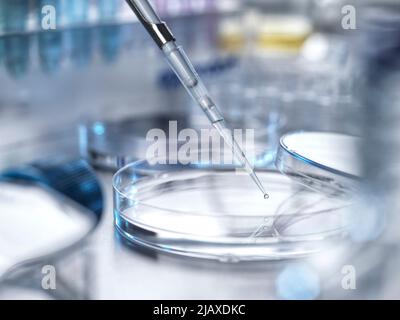 Biomedical Research, Pipetting sample into a petri dish in lab Stock Photo