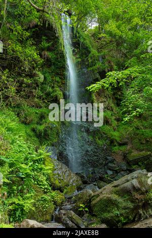 Mallyan Spout Waterfall in the moorland village of Goathland North York Moors National Park North Yorkshire England UK GB Europe Stock Photo