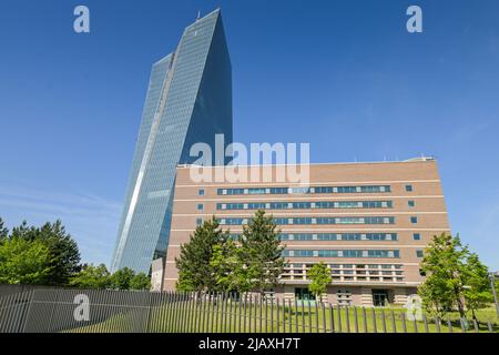 Europäische Zentralbank EZB, Hauptgebäude, Zentrale, Sonnemannstraße, Ostend, Frankfurt am Main, Hessen, Deutschland Stock Photo