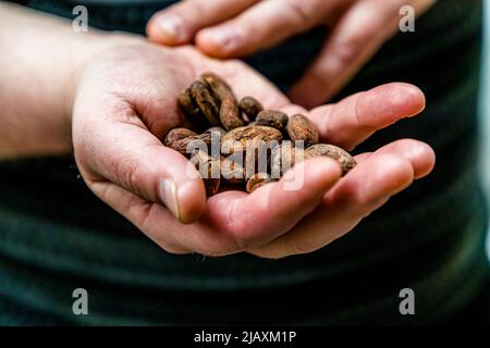 Omnom chocolate factory in Reykjavik, Iceland Stock Photo