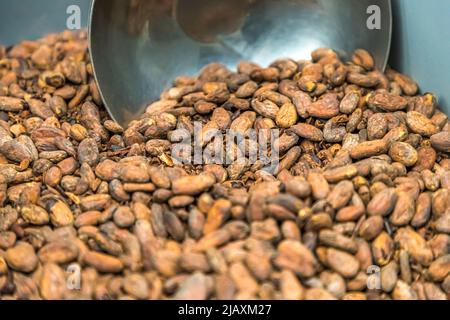 Omnom chocolate factory in Reykjavik, Iceland Stock Photo