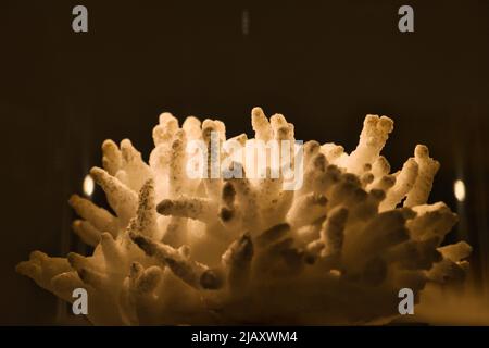 Close up of mineral Stock Photo