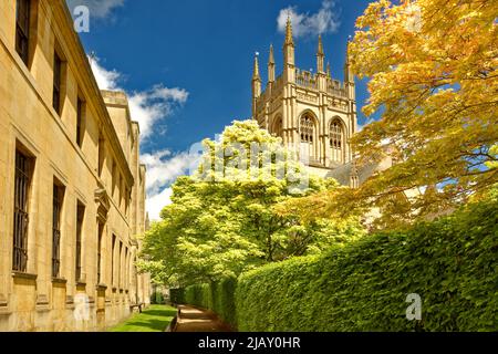 OXFORD CITY  MERTON COLLEGE CHAPEL AND TOWER SEEN FROM GROVE WALK IN SPRINGTIME Stock Photo