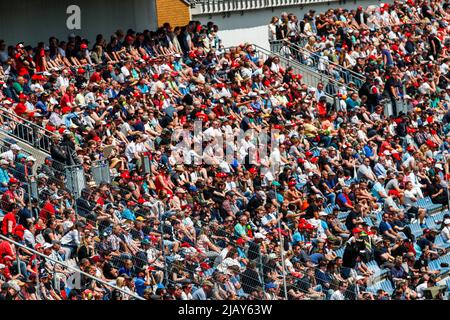 Klettwitz, Deutschland. 22nd May, 2022. Klettwitz: DTM Lausitzring 2022, on May, 22, 2022 spectators, tribune Credit: dpa/Alamy Live News Stock Photo