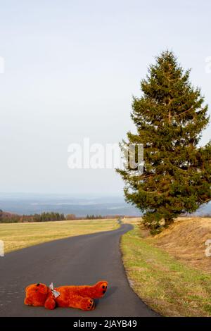 big brown teddy bear lying abandoned on the street Stock Photo