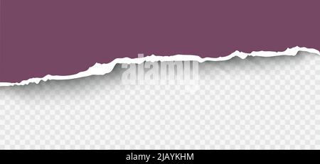 Ripped paper realistic vector illustration. Torn paper composition with place for your design. Stock Vector