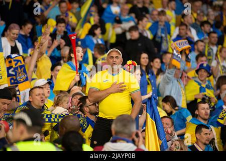 1st June 2022; Hampden Park, Glasgow, Scotland: FIFA World Cup 2022 qualification football, Scotland versus Ukraine: Ukraine fans Stock Photo