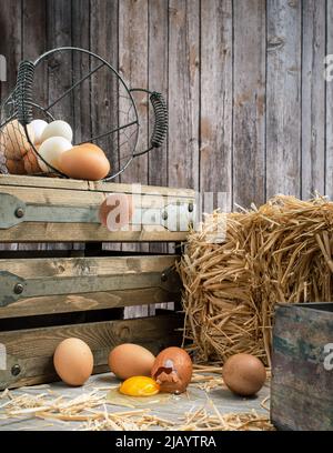 Don't put all your eggs in one basket Stock Photo