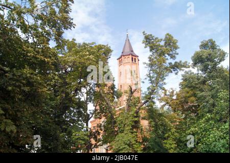 Plock. The royal cathedral of Piast dynasty. 2d capital of Poland Stock Photo