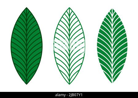 Elegant green leaves vector set. Silhouette, and outline leaf illustration. Stock Vector