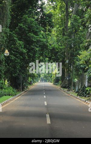 two sides of the road with shady trees Stock Photo