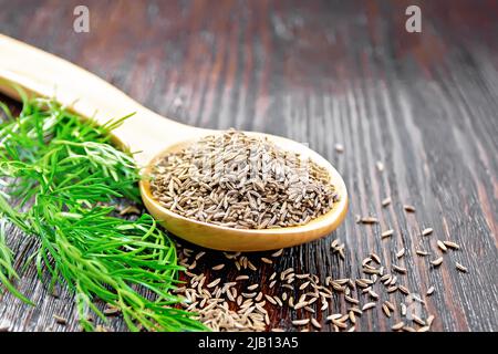 Cumin seeds in spoon and on the table, a green sprig of caraway on the background of wooden board Stock Photo