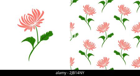Pink Chrysanthemum flower with green leaves isolated on white background is in Seamless pattern - vector illustration Stock Vector