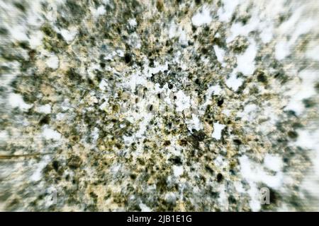 Old plastered wall with mildew stains and loose whitewash, cracks in the plaster. Macro Stock Photo
