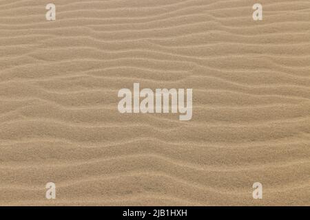 Ripple marks on droughty Sand Dunes in Desert Area. In geology, ripple marks are sedimentary structures and indicate agitation by water or, wind Stock Photo