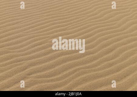 Ripple marks on droughty Sand Dunes in Desert Area. In geology, ripple marks are sedimentary structures and indicate agitation by water or, wind Stock Photo