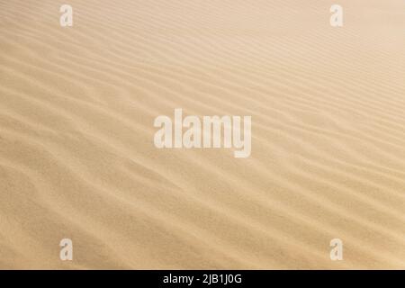 Ripple marks on droughty Sand Dunes in Desert Area. In geology, ripple marks are sedimentary structures and indicate agitation by water or, wind Stock Photo