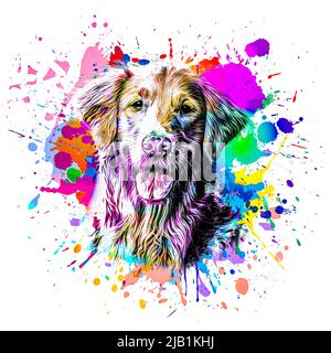 dog head with creative colorful abstract elements on white background Stock Photo