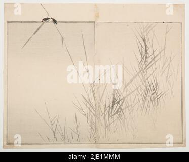 Two beetles on the grass, board 10. From the album: patterns of drawings of flower and birds Seiteia / Seitei Kacho Gafu; Volume 3. Watanabe, Shotei (1851 1918) Stock Photo