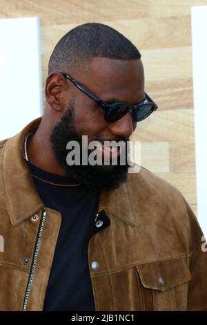 LOS ANGELES - JUN 1: LeBron James at the Hustle Premiere at the Village ...