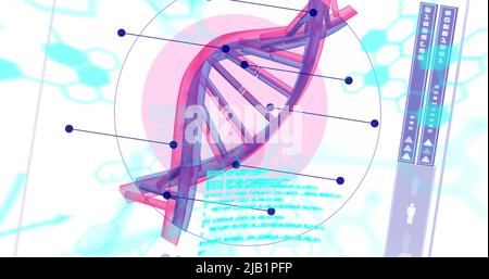 Image of medical data processing and dna strand spinning Stock Photo