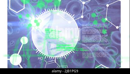 Image of scientific data processing over dna strand spinning Stock Photo