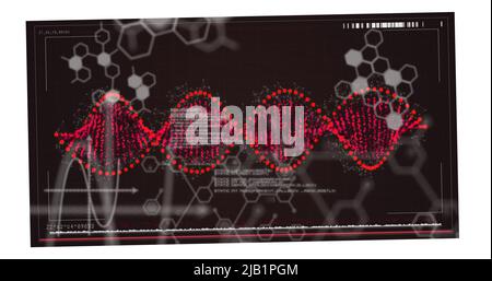 Image of scientific data processing over dna strand spinning Stock Photo