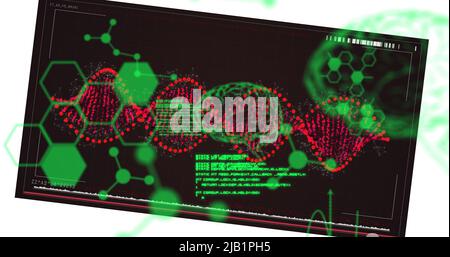 Image of scientific data processing over dna strand spinning Stock Photo
