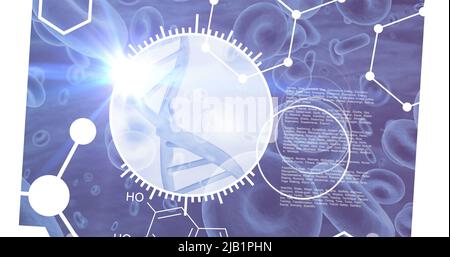 Image of scientific data processing over dna strand spinning Stock Photo