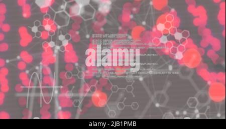 Image of scientific data processing over dna strand spinning Stock Photo