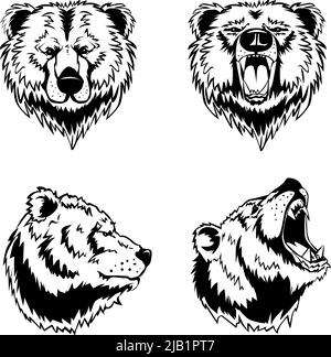 Hand drawn ink engravings set of four bear head in different angles and moods isolated on white background vector illustration Stock Vector