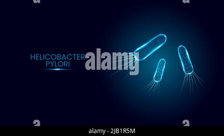 Helicobacter pylori. Wireframe low poly style. Glowing polygonal bacteria cells isolated on dark blue background. Vector illustration. Stock Vector