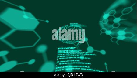 Image of data processing and brains on black background Stock Photo