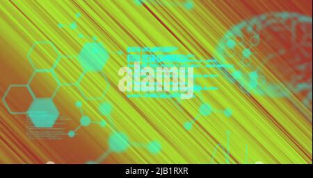 Image of data processing and brains on green moving background Stock Photo
