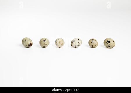 Set of six quail eggs isolated on white background with shadow Stock Photo