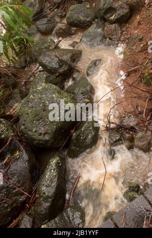 Heavy rain flowing down on road Stock Photo - Alamy