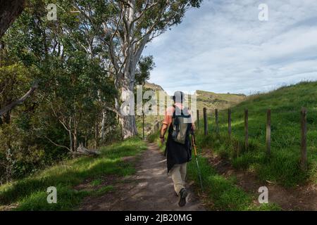 Hiking Te Mata Peak track among farmland. Hawke’s Bay. Stock Photo