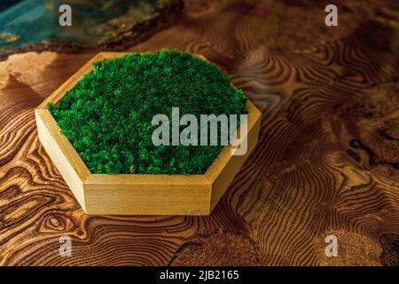 Stabilized moss in a hexagonal wooden box stands on an epoxy resin table. Eco-friendly interior detail, showcase for displaying items for sale Stock Photo