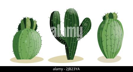 Tall succulent cactus with thorns and stone isolated elements. Vector drawing set illustration for icon, game, packaging, banner. Wild west, western Stock Vector